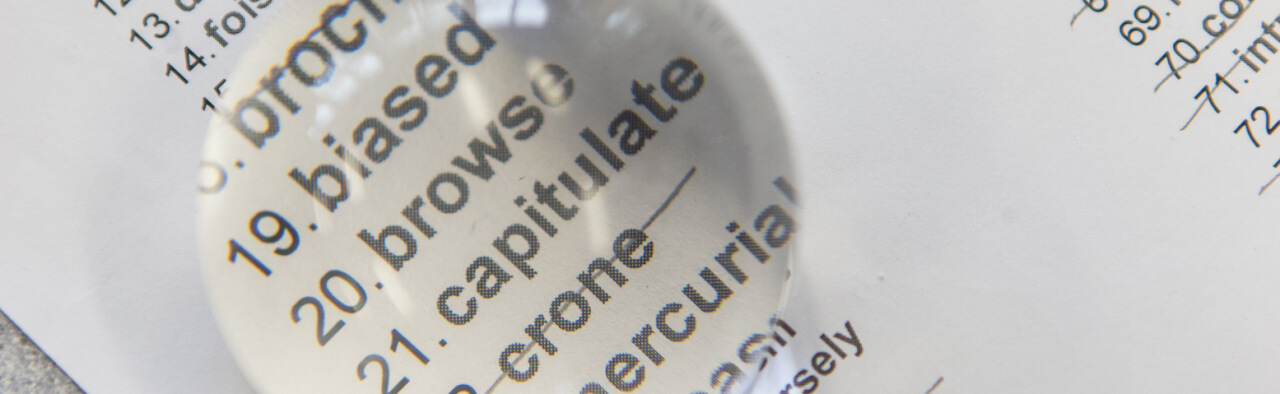 Bubble magnifier over word list
