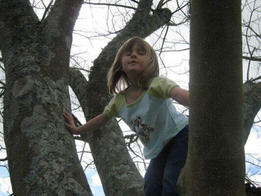 A learner, who has no sight, is confidently climbing high in a tree