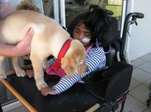 A child sits in her wheelchair touching a puppy
