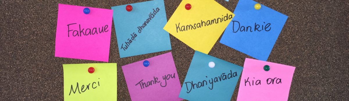 Image showing sticky notes saying thank you in 16 different languages