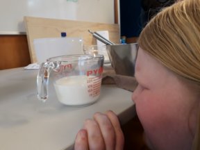 A student is checking the measurement of milk that is in a glass jug on the bench