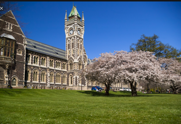 Figure 1 - The large clock tower at University of Otago