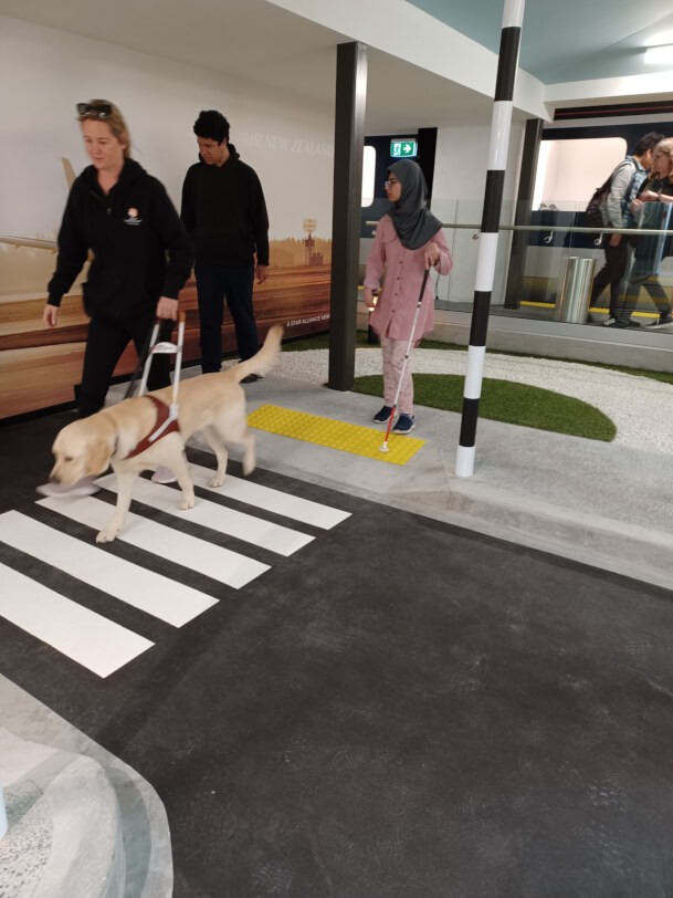 Figure 2 - Guide dog with handler and 2 people crossing zebra crossing